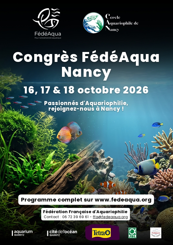 Affiche_Nancy